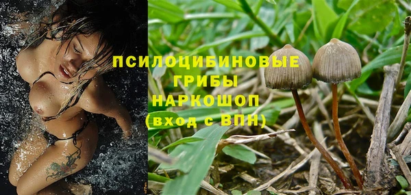 бутират Покачи