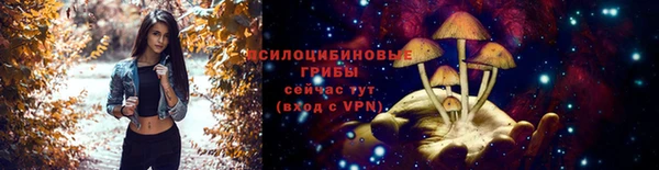 гидра Приозерск