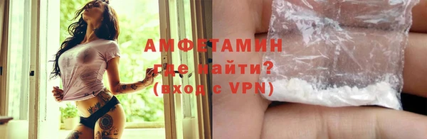 ПСИЛОЦИБИНОВЫЕ ГРИБЫ Гатчина