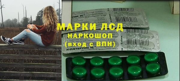 ПСИЛОЦИБИНОВЫЕ ГРИБЫ Гатчина