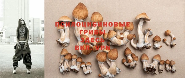 соль курить ск Протвино