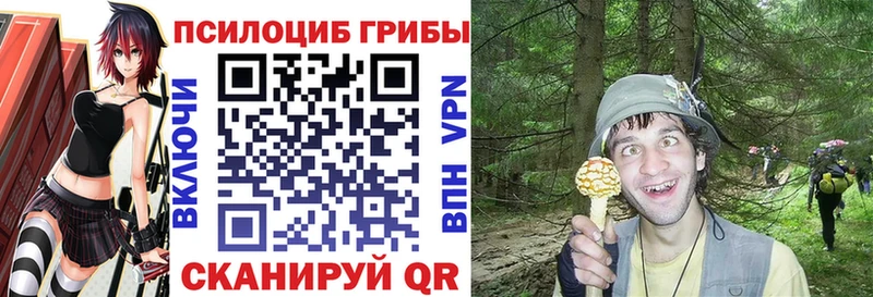 Галлюциногенные грибы Psilocybe наркотики Аркадак